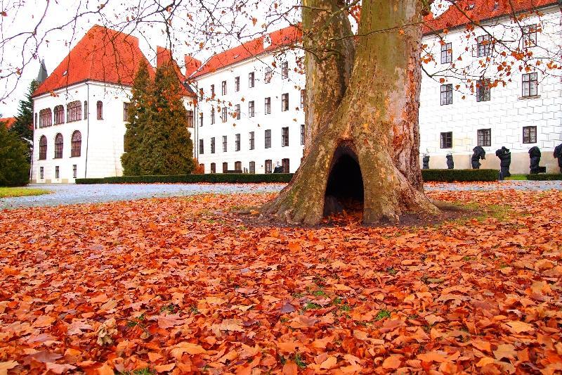 Penzion a wellness U Třeboňské madony Exterior foto